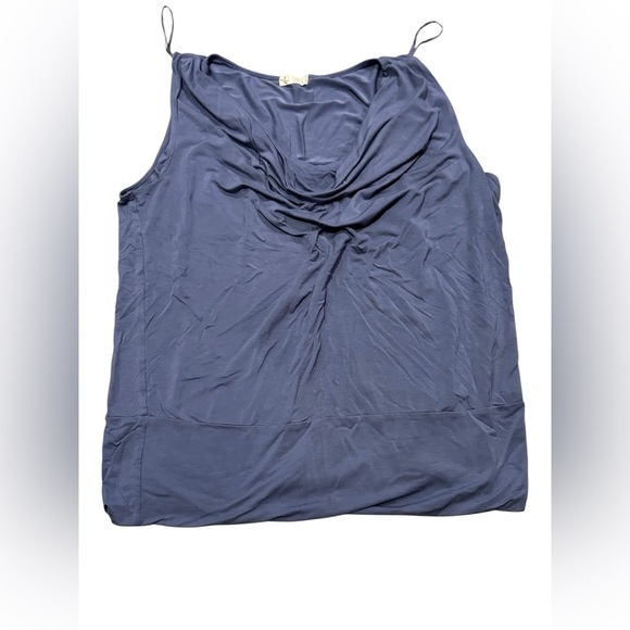 EUC Elegant Blue Gray Sleeveless Top Carve Designs XL super comfy Luisa Top - Picture 1 of 5